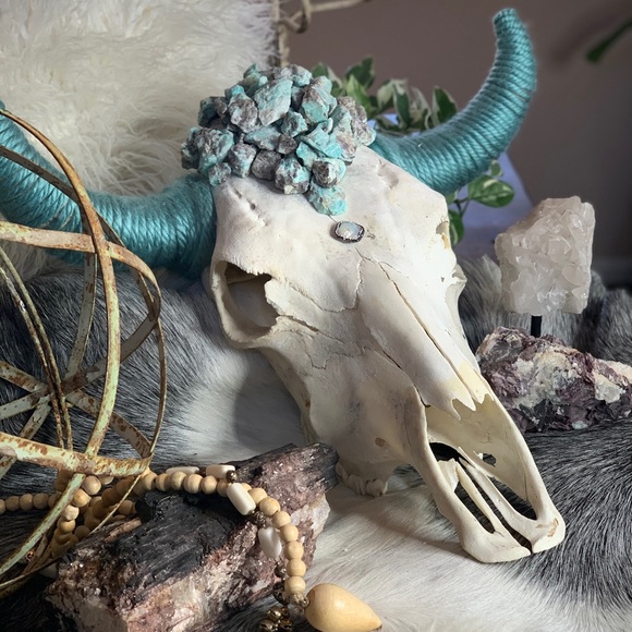 Other - Natural cow skull with green turquoise